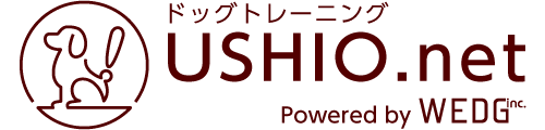 大阪の出張ドッグトレーナー USHIO.net ドッグトレーニング