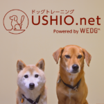 USHIO.net ドッグトレーニング Powered by WEDG inc.