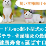 飼い主様向けセミナー 参加無料 事前予約制 トイプードル等の超小型犬の3大疾患 骨折・パテラ・骨頭壊死の最新医療と犬猫の健康寿命を延ばす口腔ケア