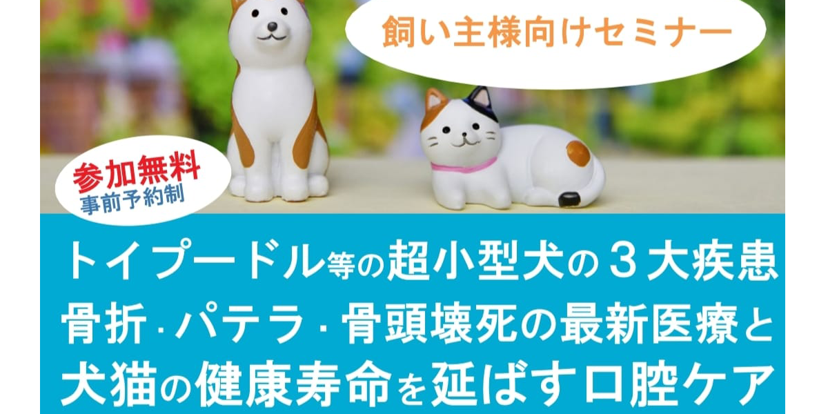 飼い主様向けセミナー 参加無料 事前予約制 トイプードル等の超小型犬の3大疾患 骨折・パテラ・骨頭壊死の最新医療と犬猫の健康寿命を延ばす口腔ケア