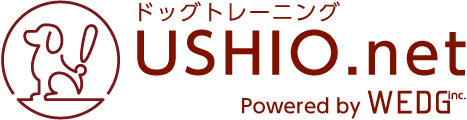 ushio.net-footer-logo