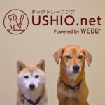 USHIO.net ドッグトレーニング