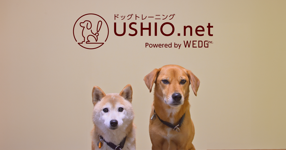 USHIO.net ドッグトレーニング